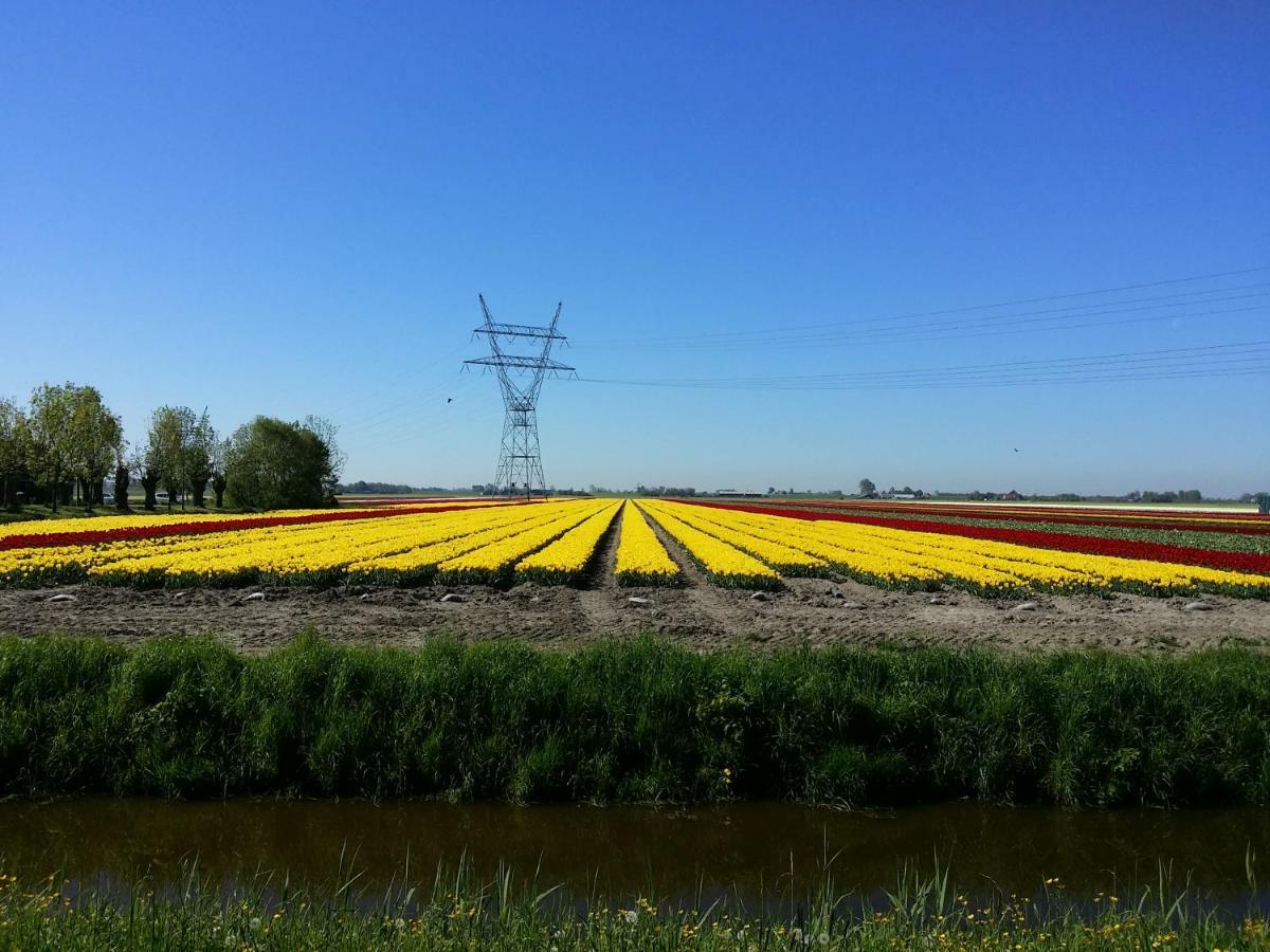 Gastenverblijf Bij De Molen Tussen Alkmaar En Hoorn Oterleek ภายนอก รูปภาพ